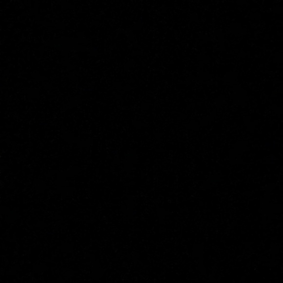 Meet your Posher, Kenzie - Picture 1 of 1